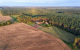 Nocleg na skraju puszczy